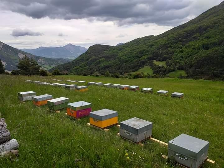 La petite miellerie
Besse sur Issole