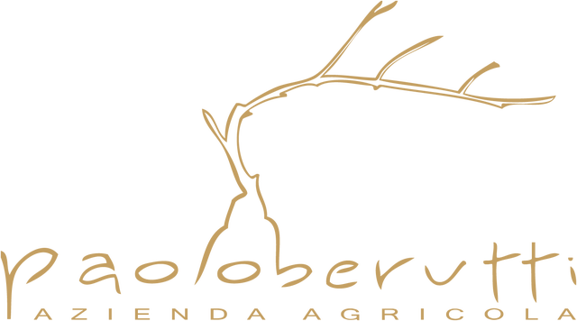 store_logo