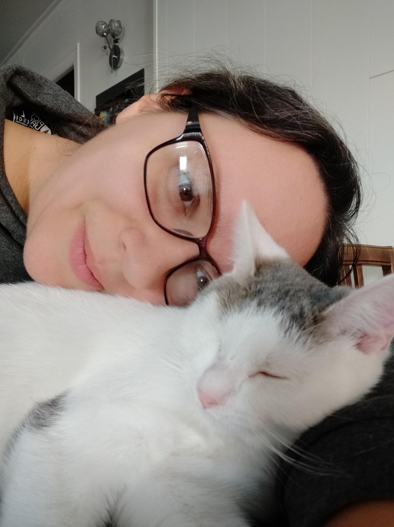 Chat, jouet pour chat, jeux pour chats en crochet, Histoires de Coussinets