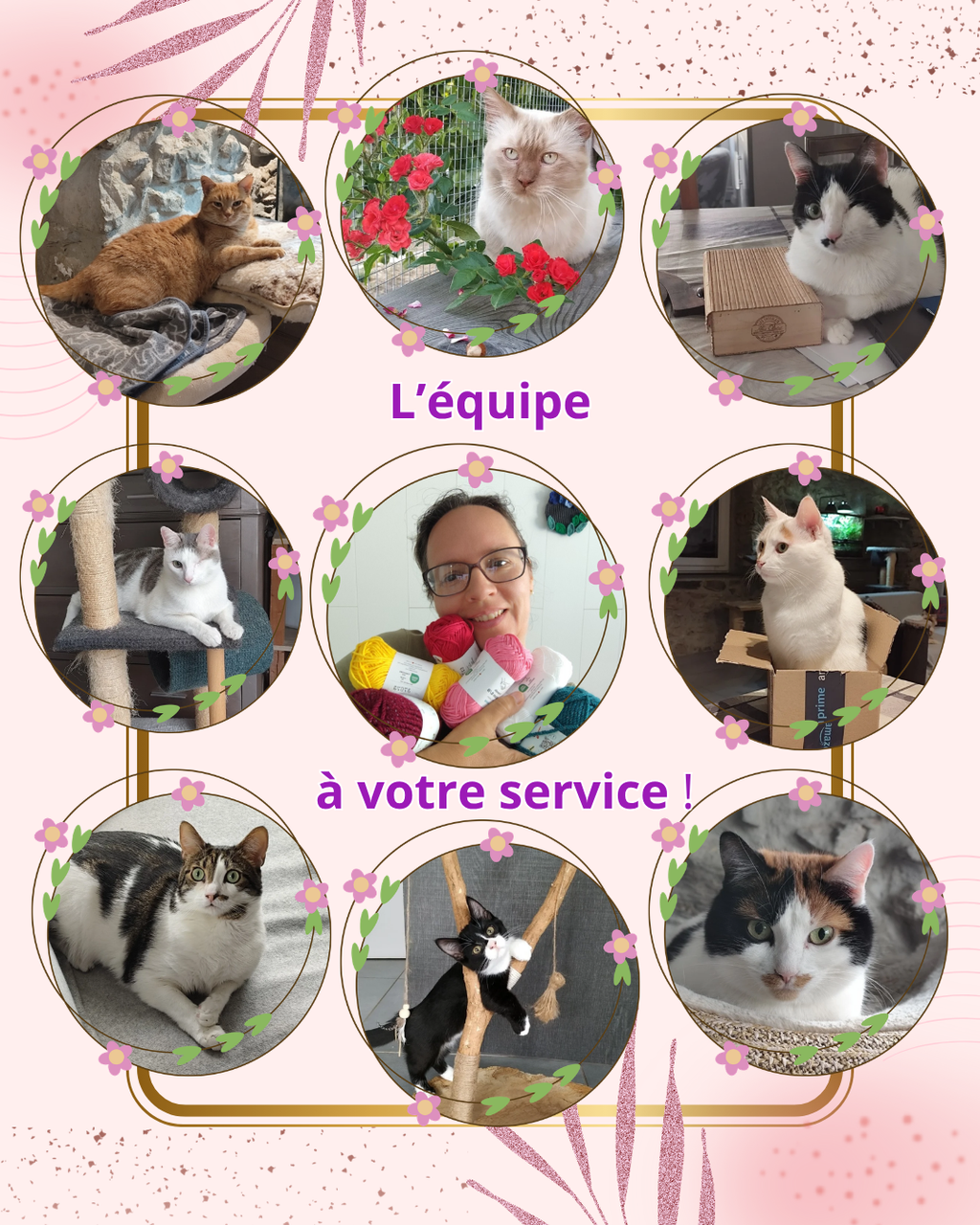 l'équipe à votre service - Histoires de Coussinets