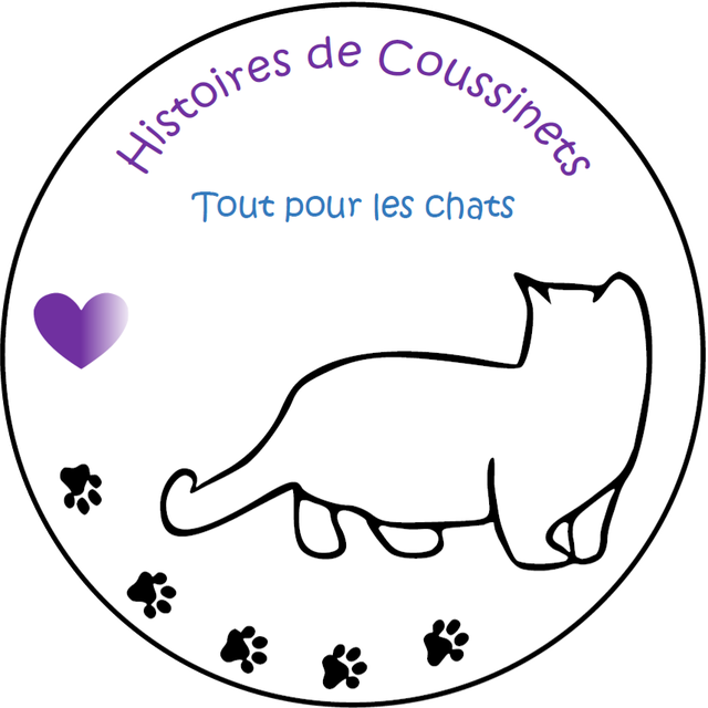 Jouets en crochet pour chat
faits mains -Histoires de Coussinets