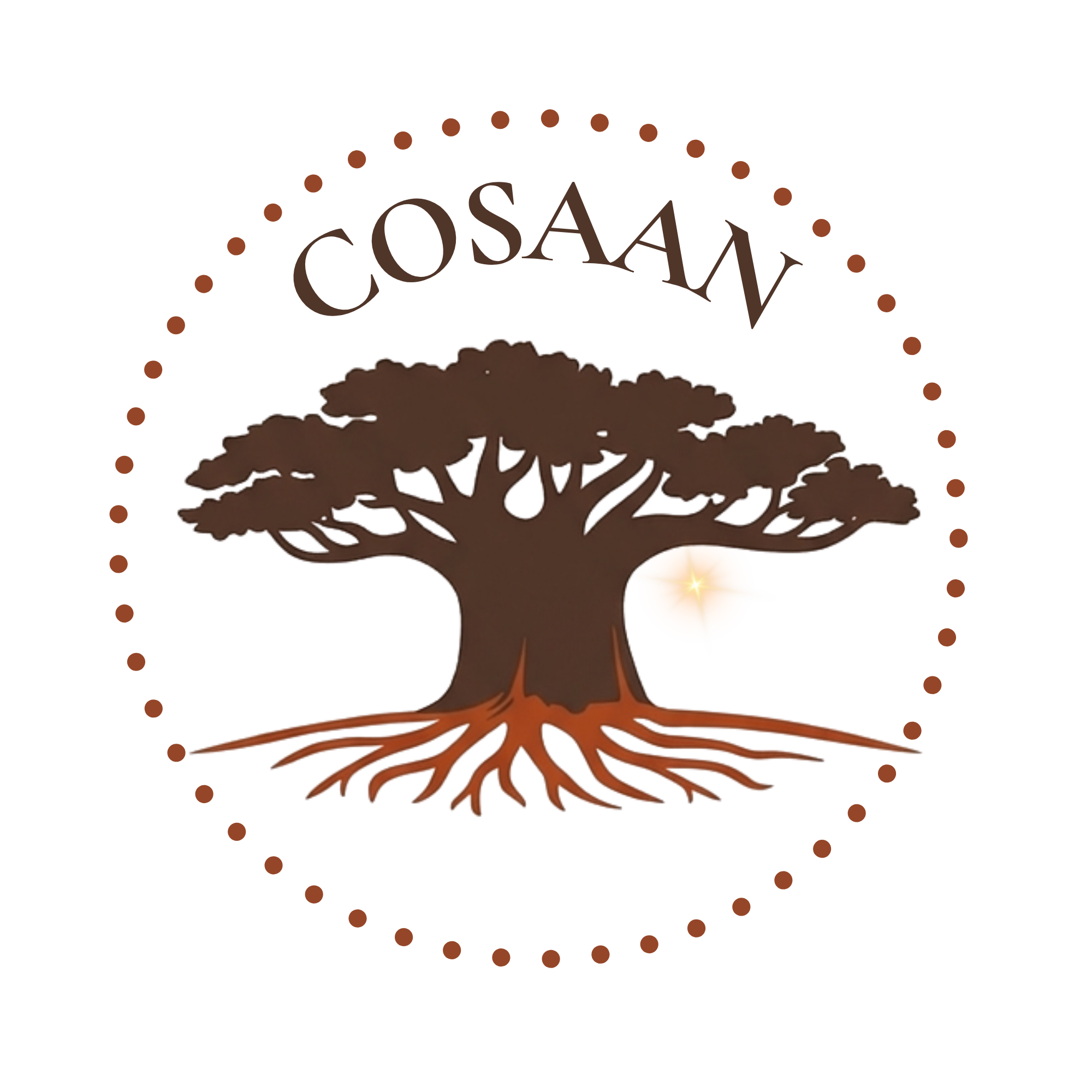 logo methode cosaan