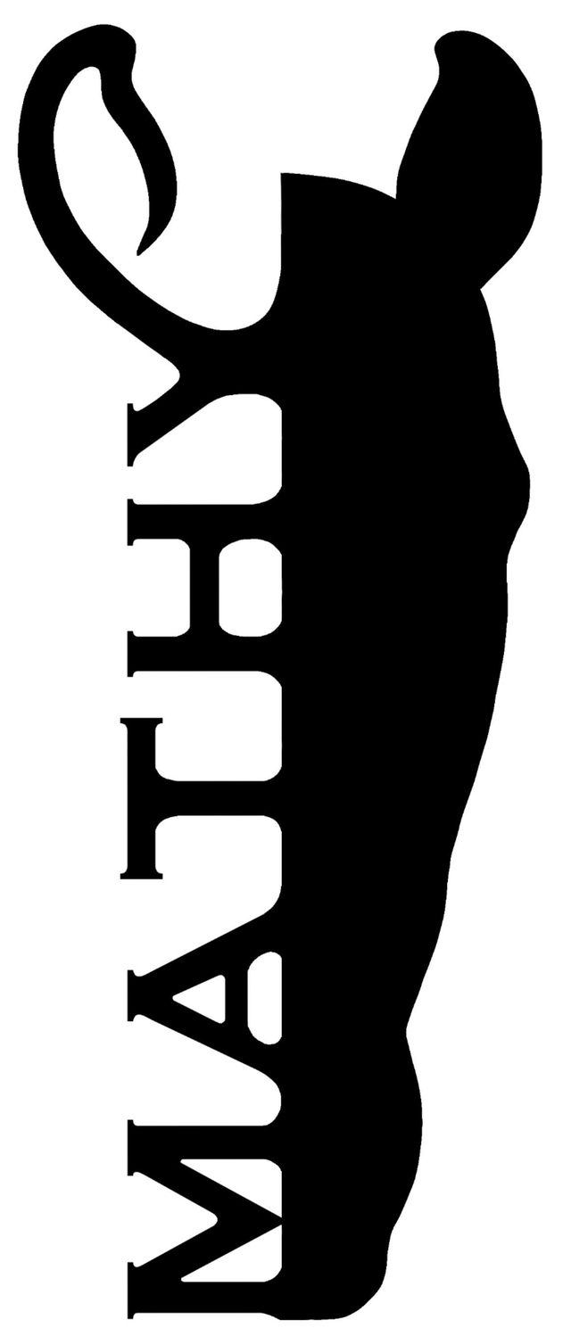 store_logo