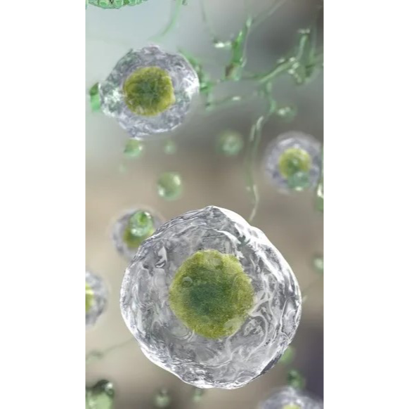ReCutan® 3D ist das erste pflanzliche
Anti-Aging-Programm zur Hauterneuerung