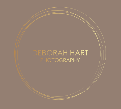 store_logo