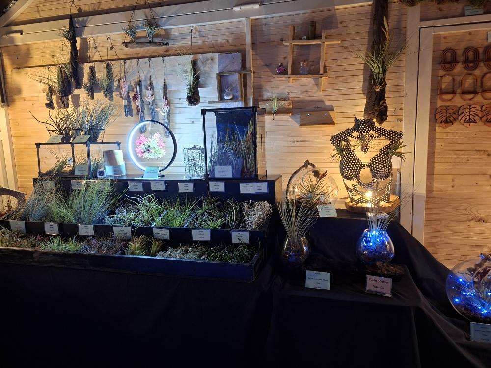 Vous pouvez me retrouver sur les marchés le week-end :
Samedi: MONTBRISON
Dimanche: St JUST St RAMBERT
Ou
Sur les foires au plantes, les foires ou les marchés de Noël de la région 