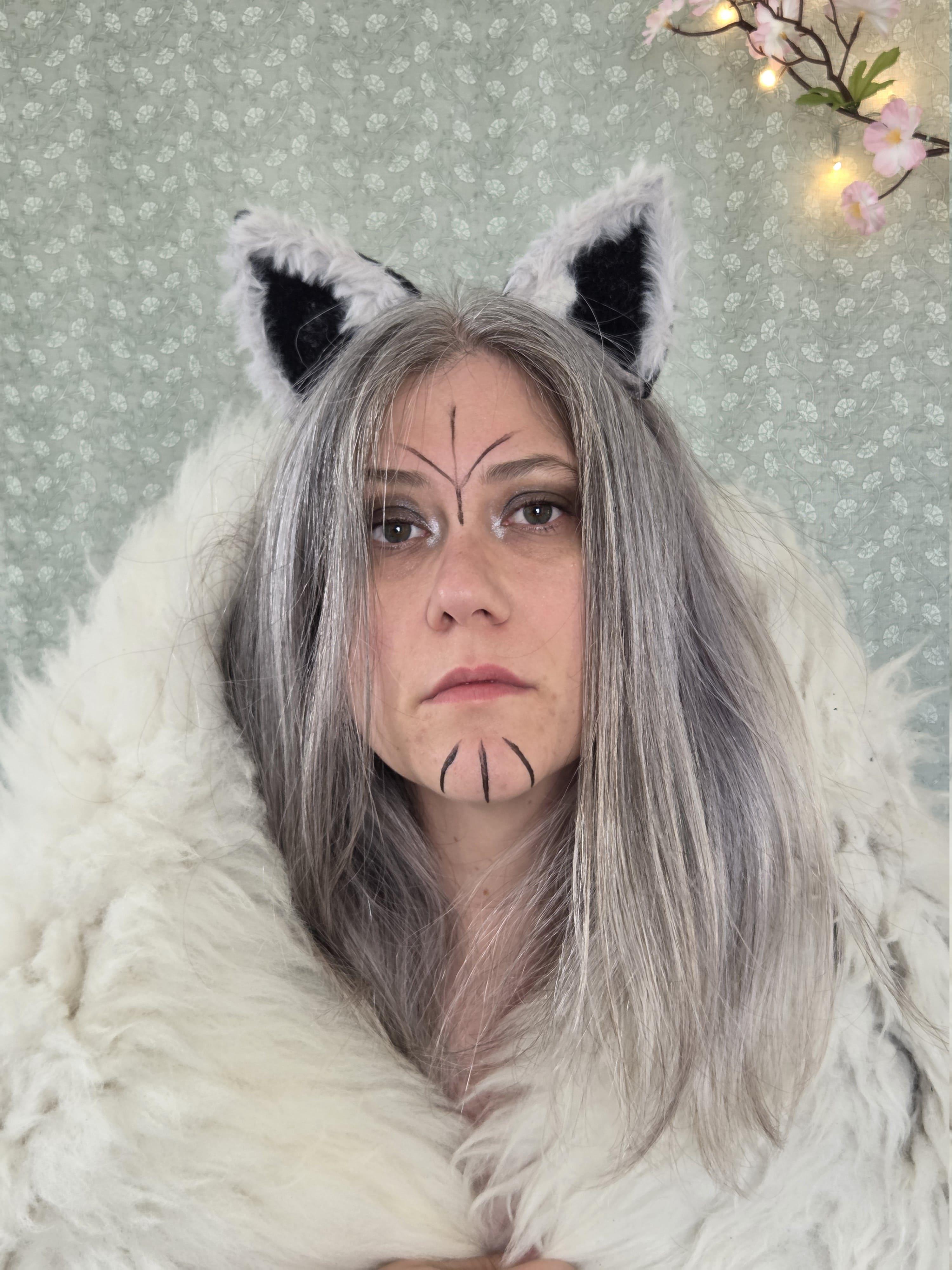 Loups et renards