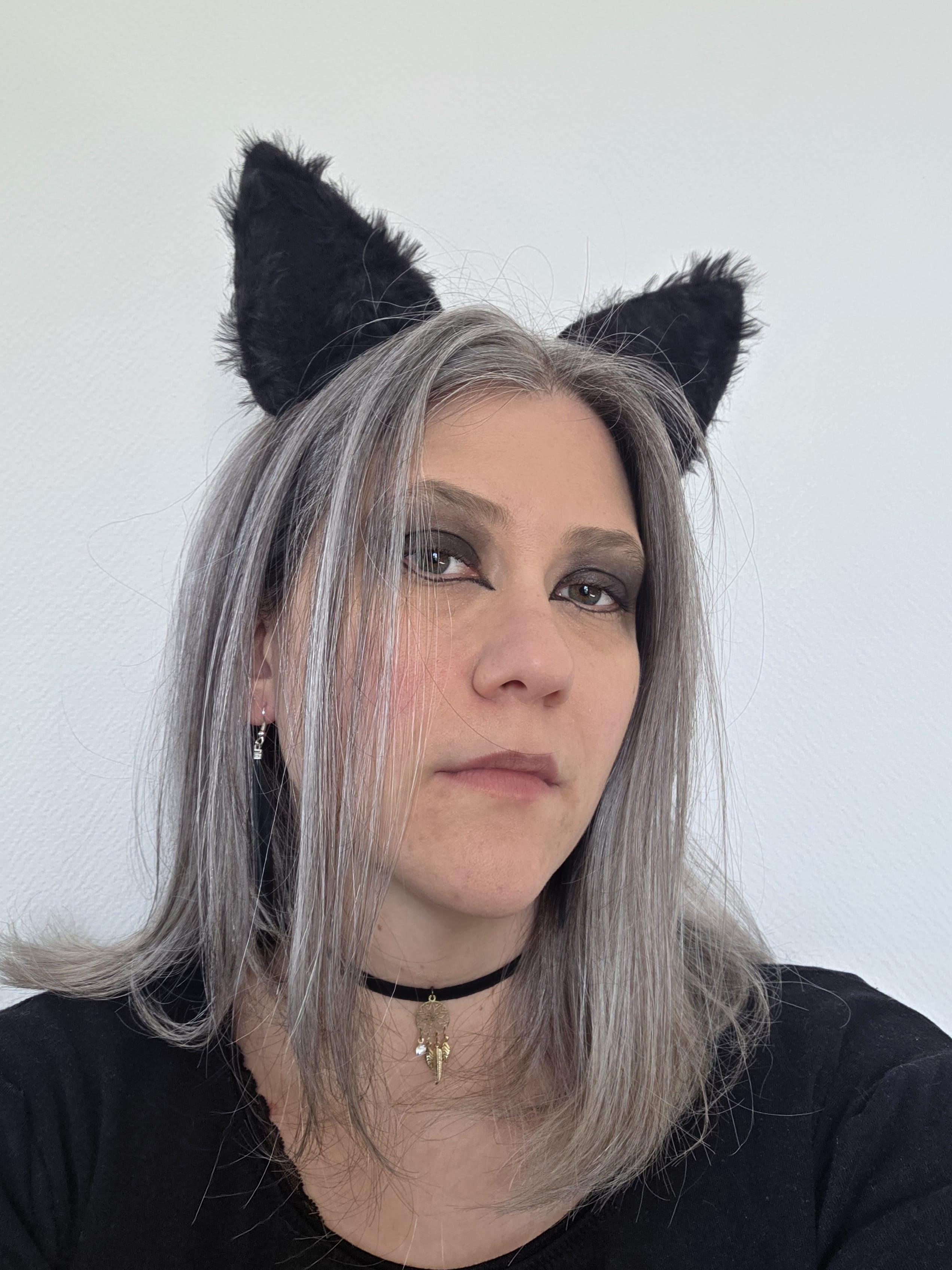 Loups et renards