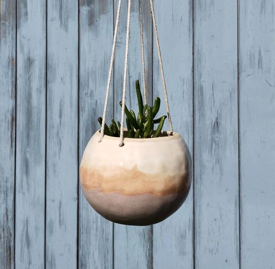 Boule suspendue avec plante