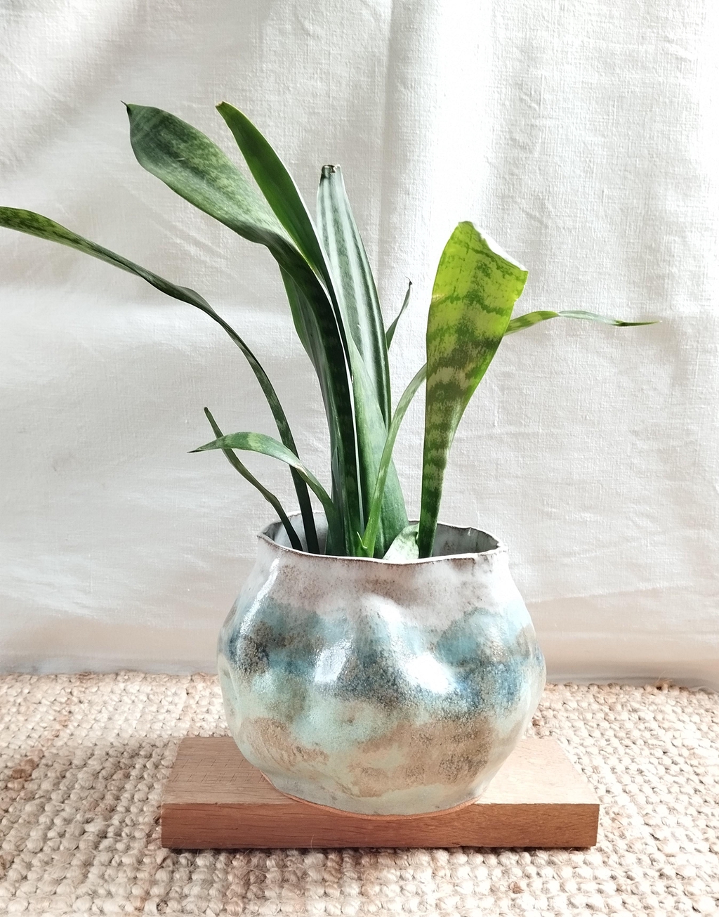 Cache-pot avec plante.