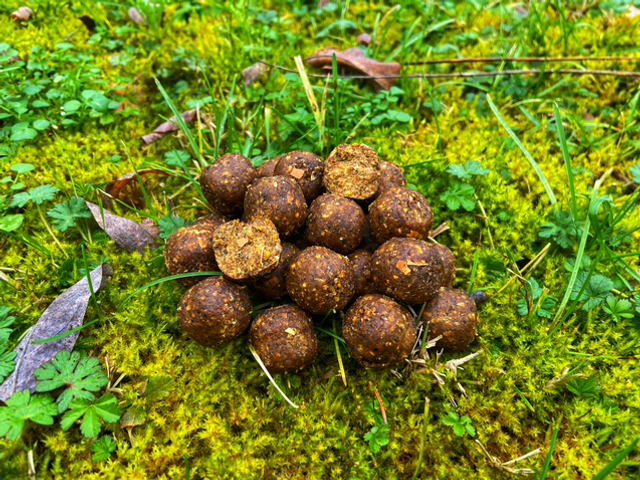 product_list_image_cover