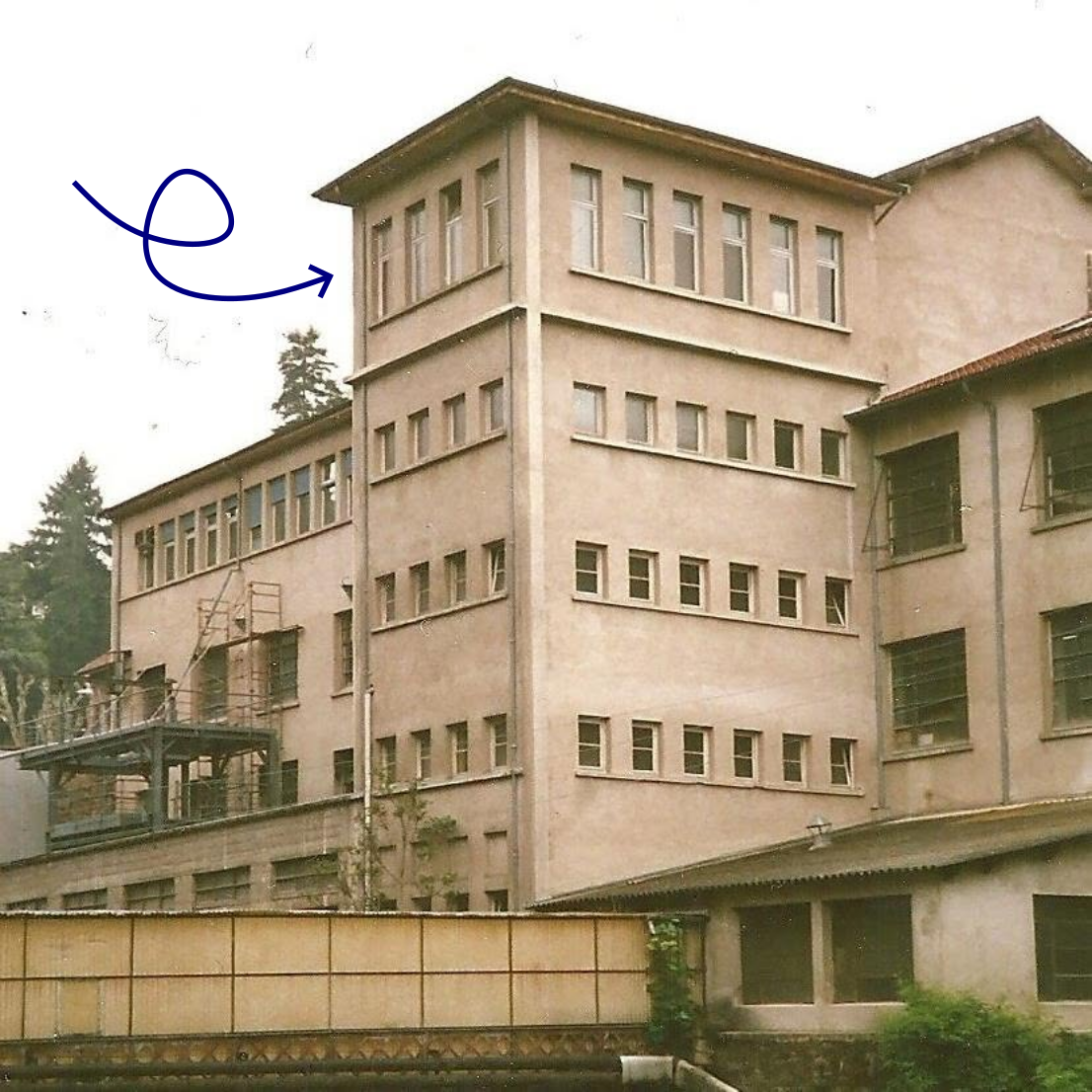 Section image