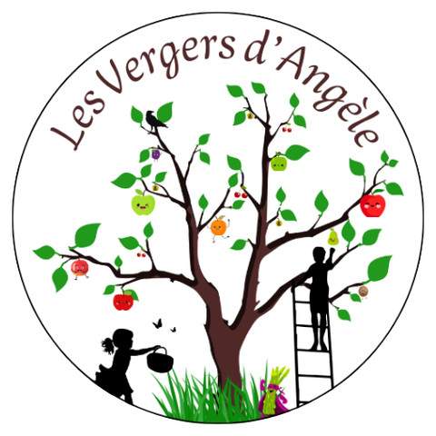 store_logo
