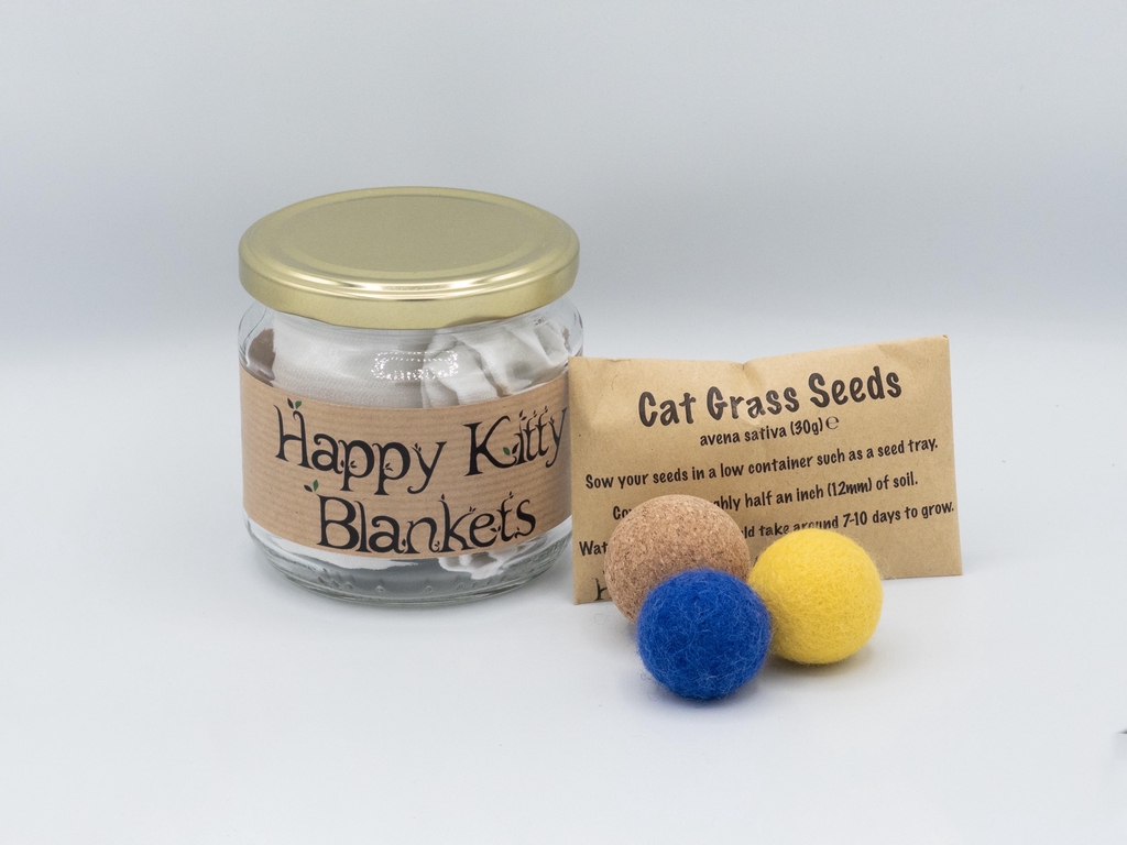 Items for Cats to help improve their mental wellbeing
