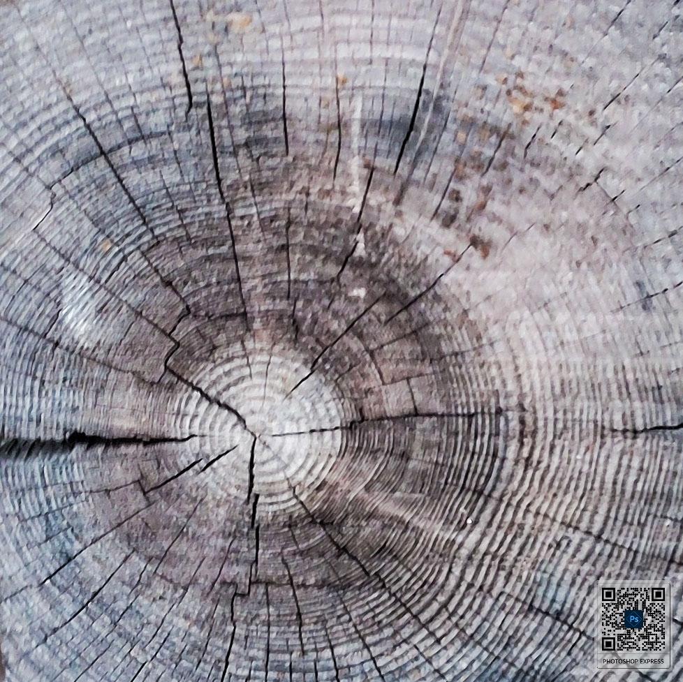 Herkkyys, luovuus ja tasapainoittavaa 