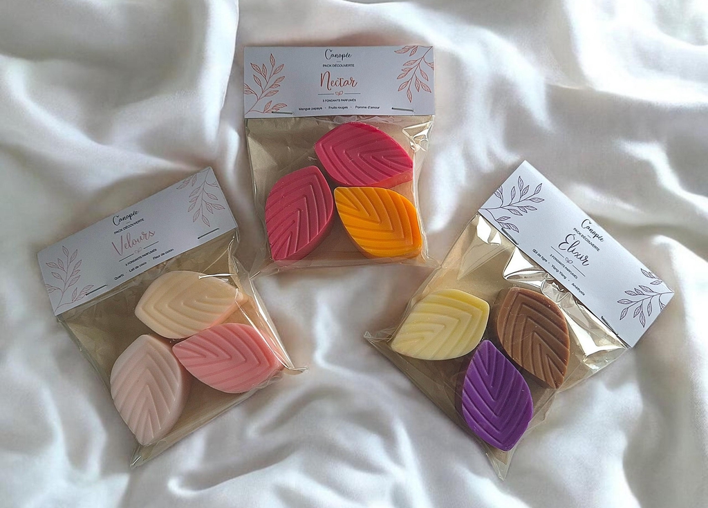 Pack découvert fondant parfumé/ fondant parfumé artisanal 25g