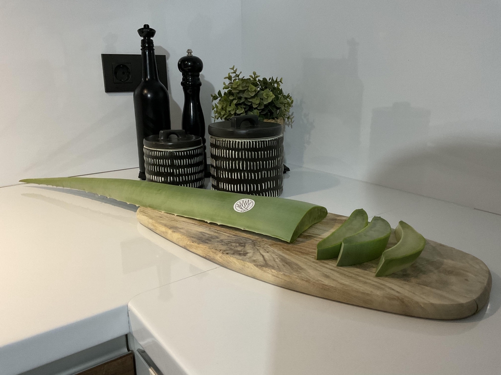 Aloe vera ecologico