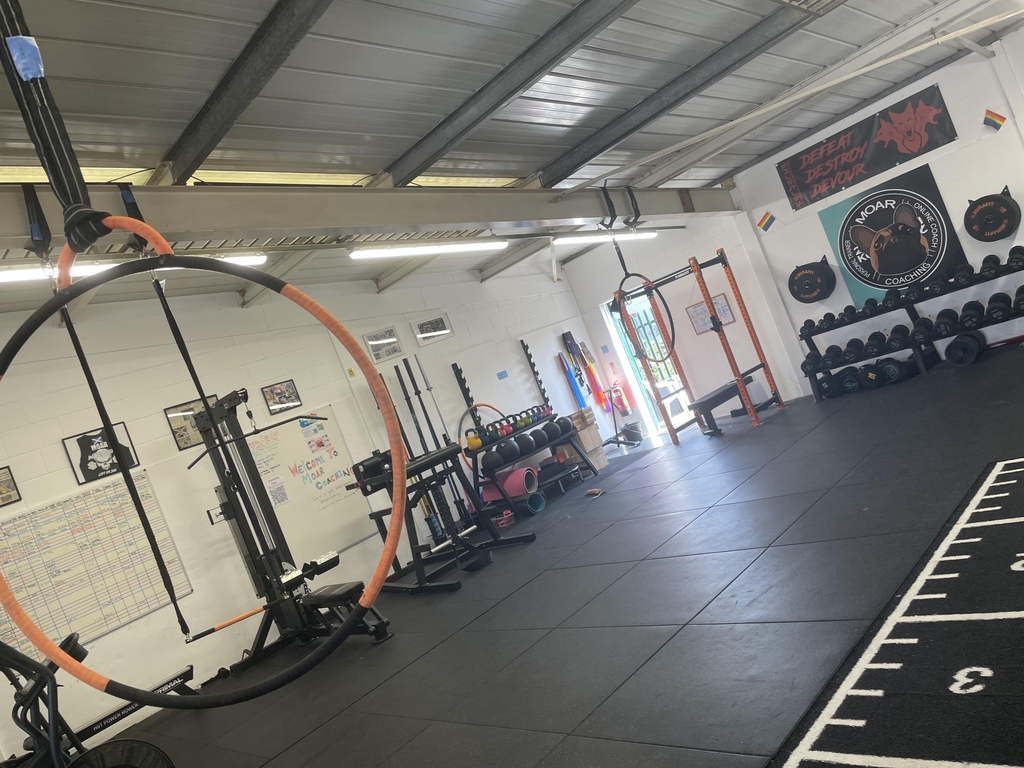 Cat In a Hoop - Aerial Teacher