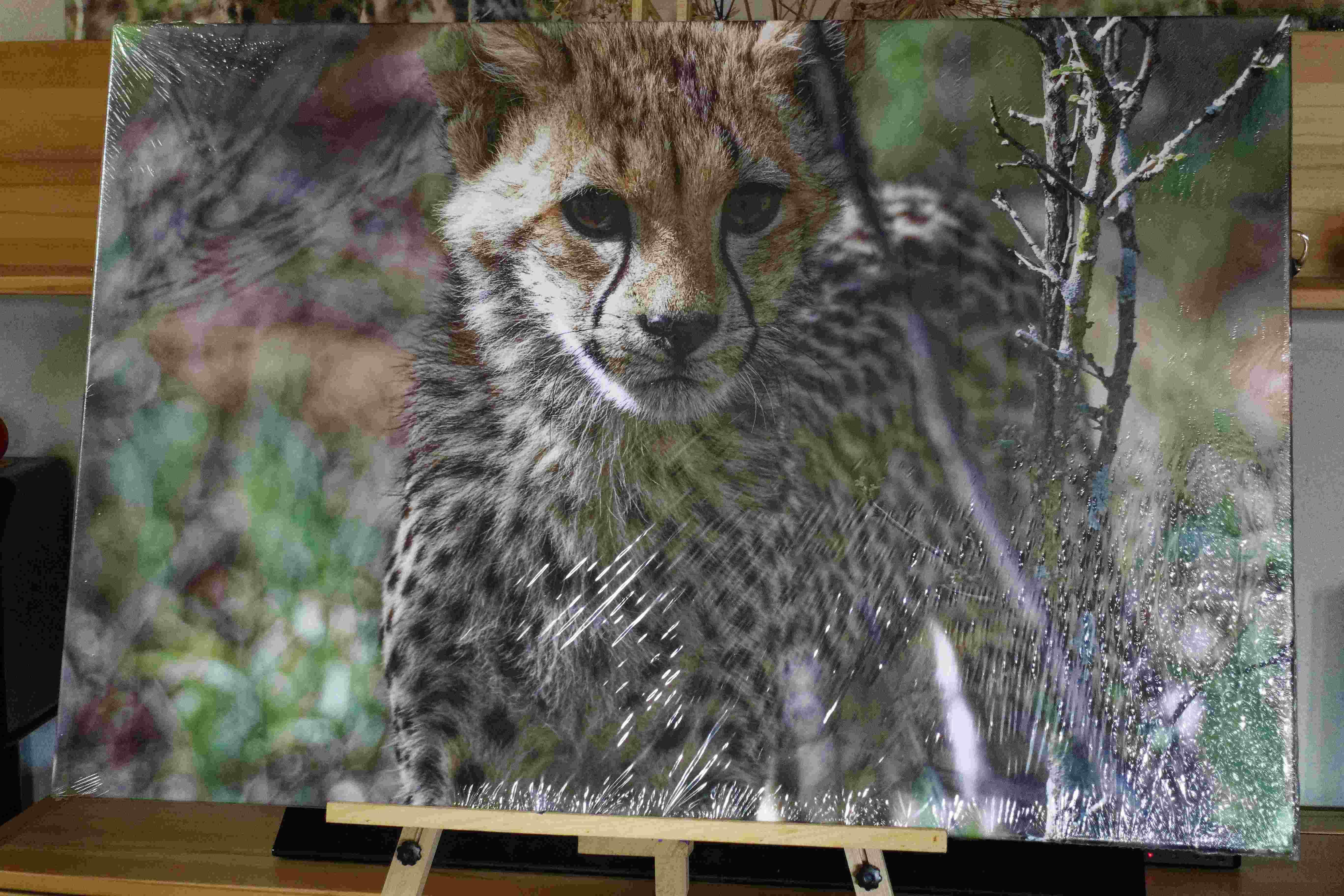 Exklusive Fotokunst auf großformatiger Leinwand oder Acrylglas