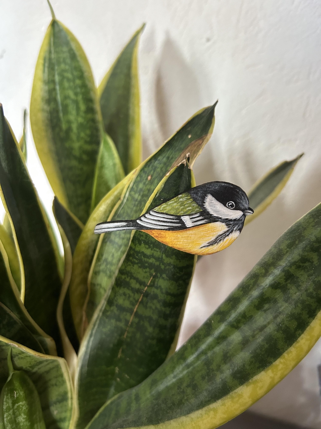 Pince à accrocher partout 