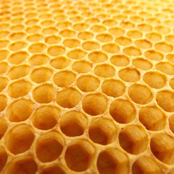 La cire d'abeille
Produite en Provence par nos apiculteurs partenaires, elle apporte structure au produit et participe au maintien du film hydrolipidique pour le maintien d'une peau hydratée