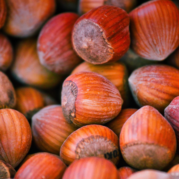 Notre huile de noisette produite dans l'Allier est riche en acides gras essentiels et en vitamine E. Elle donnera des savons très peu mousseux ou décapants. Ceux-ci  seront plutôt portés sur un lavage doux, nourrissant et assouplissant. C'est une huile également reconnue pour ces vertus antioxydantes.