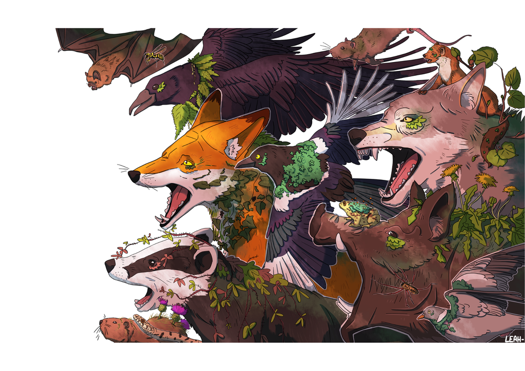 Leah - Artiste Illustratrice