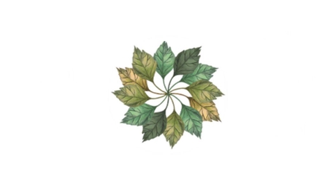 Handmade Soaping Simplicity