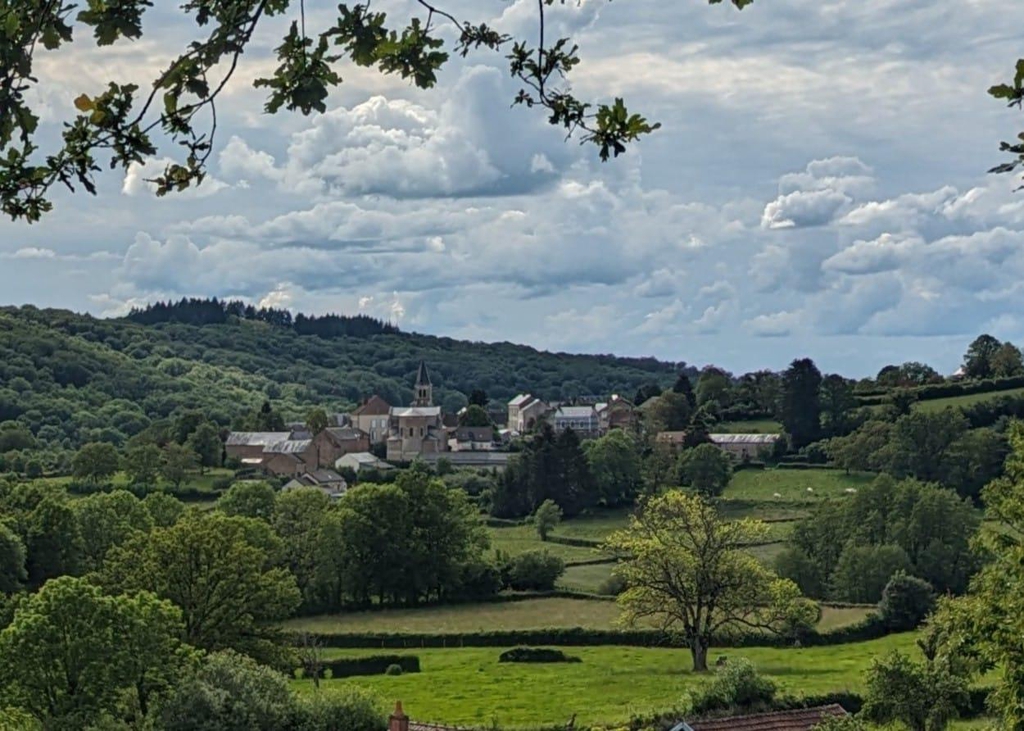 banner_image
