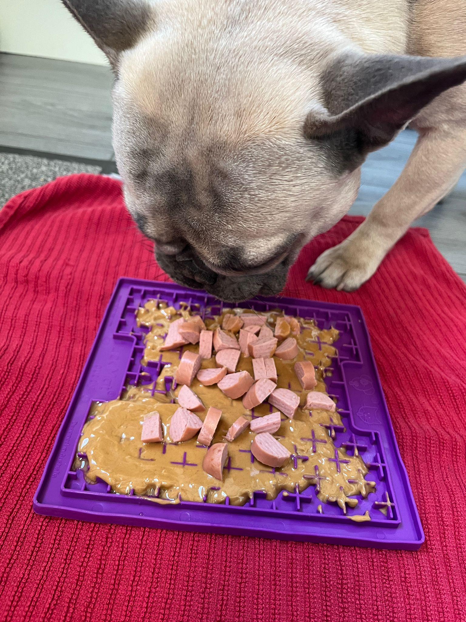 Feeding