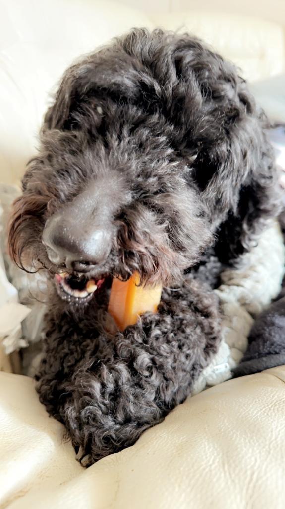 Treats