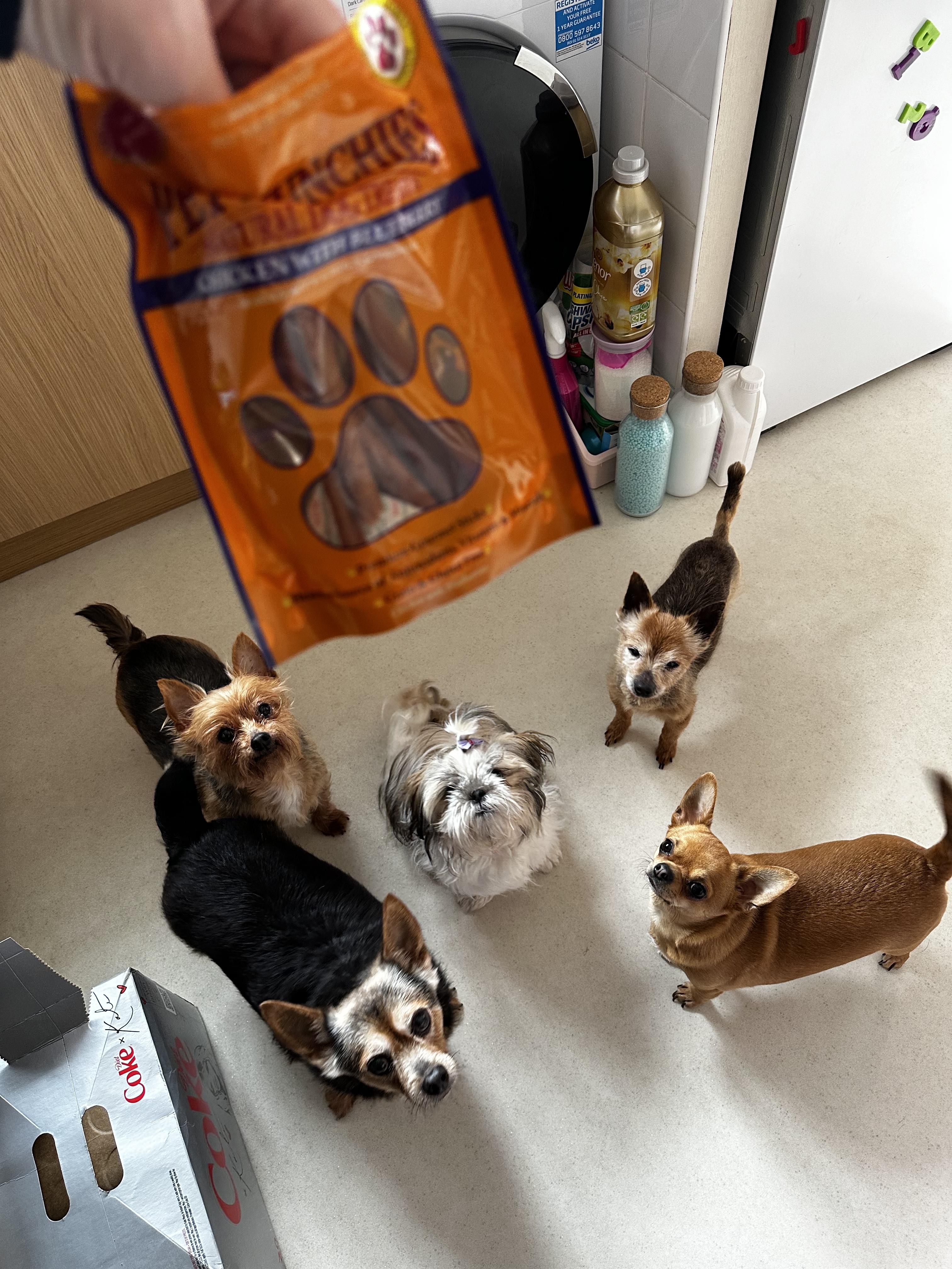 Pet Munchies
