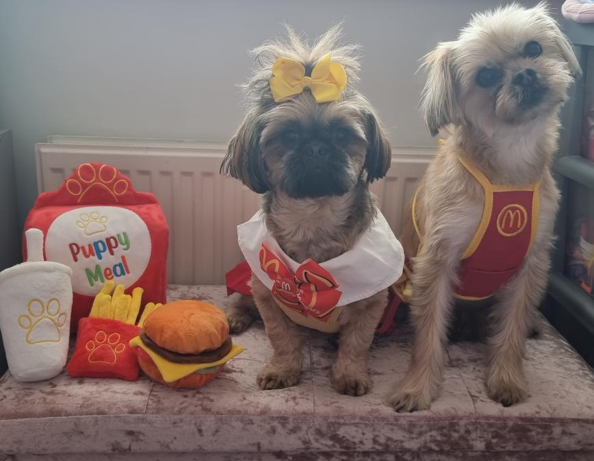 product_list_image_cover