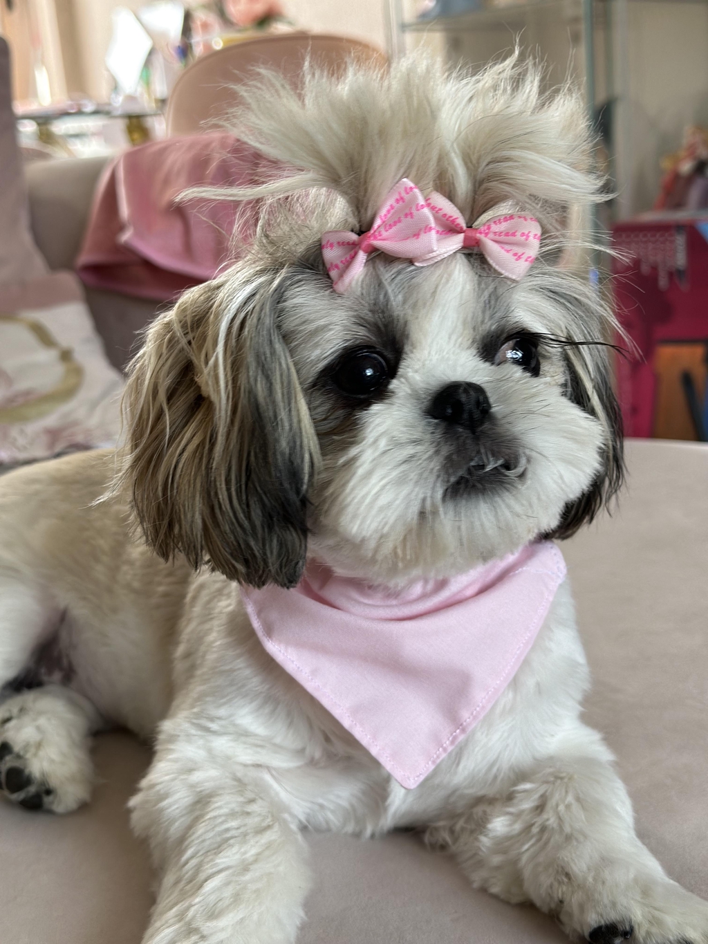 product_list_image_cover