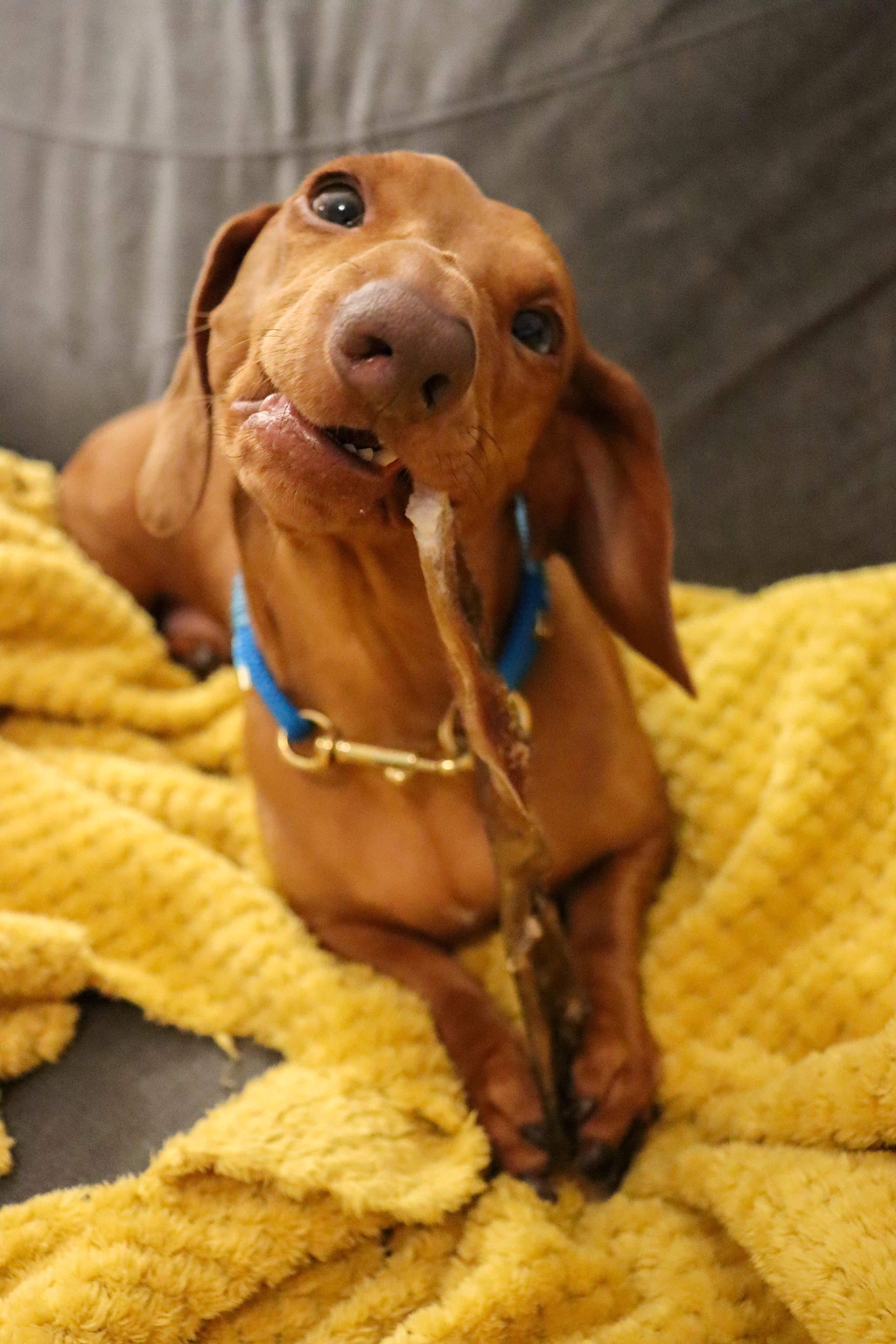 product_list_image_cover