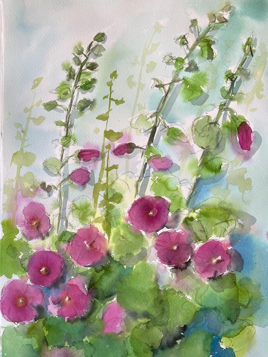 Karolina Lohiniva akvarell rosa stockrosor