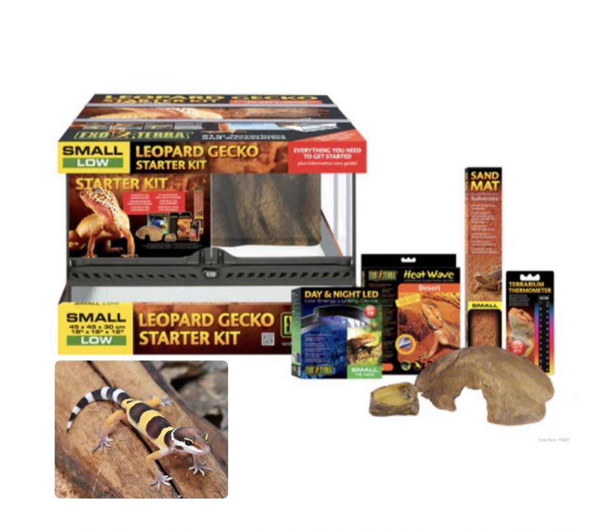 Animal + Kit Completo