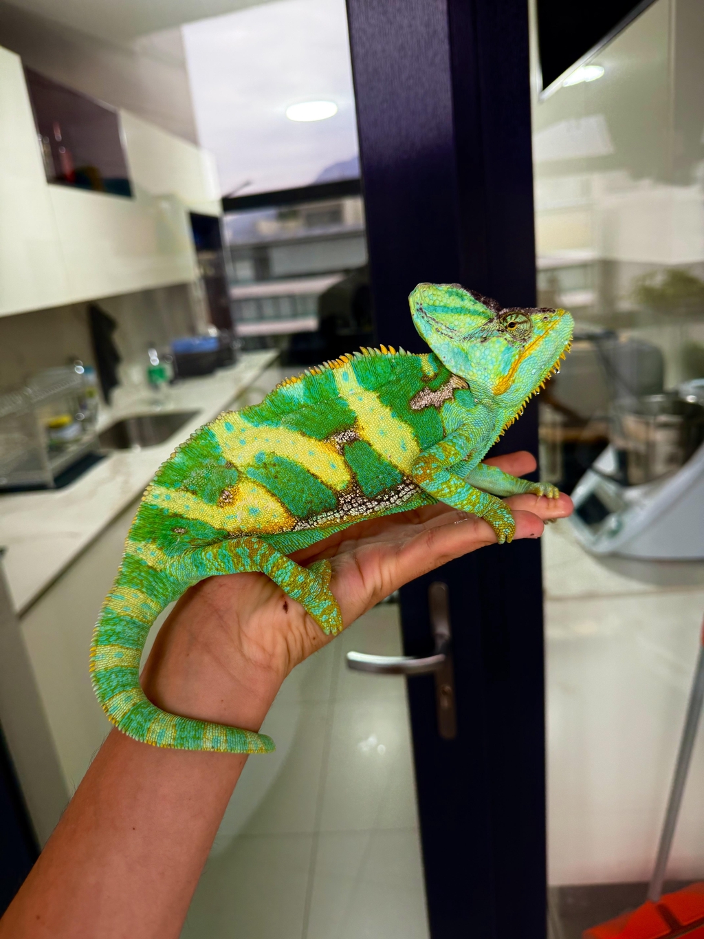 product_list_image_cover