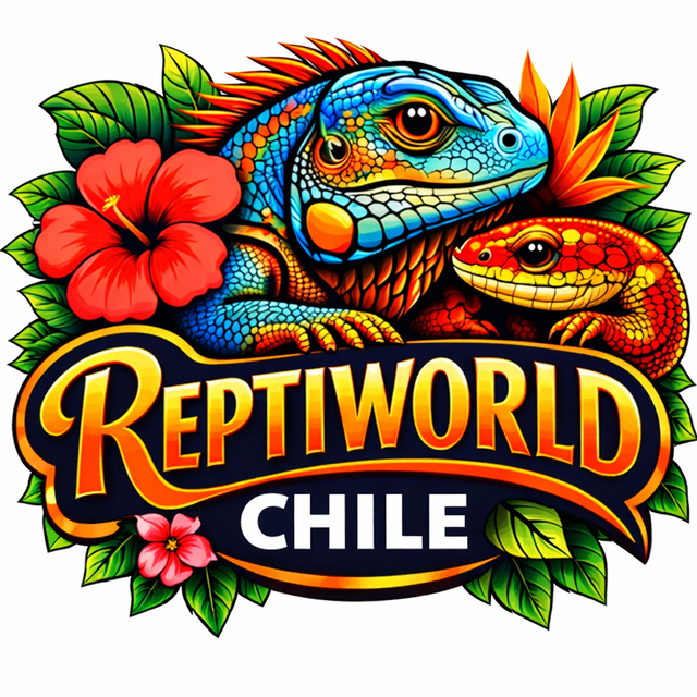 store_logo