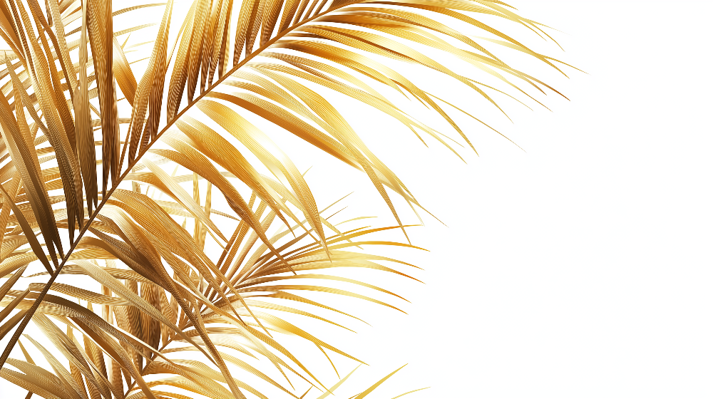 De l'inspiration à la création, juste pour vous.