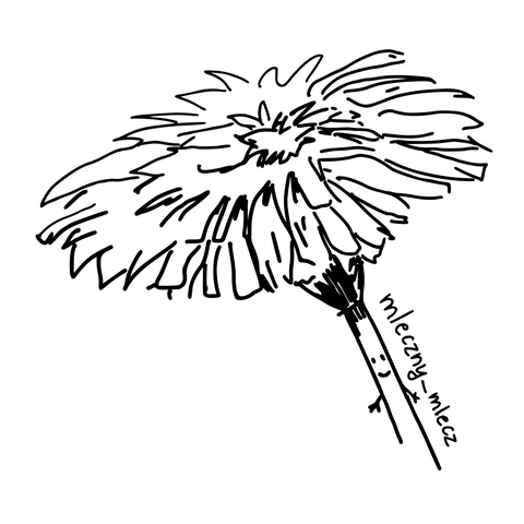 store_logo