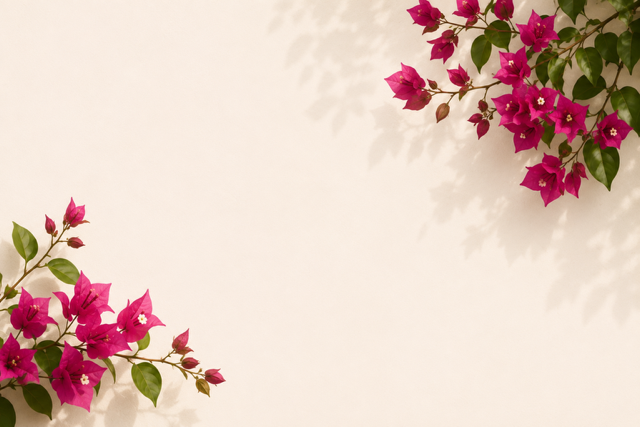 Banner image