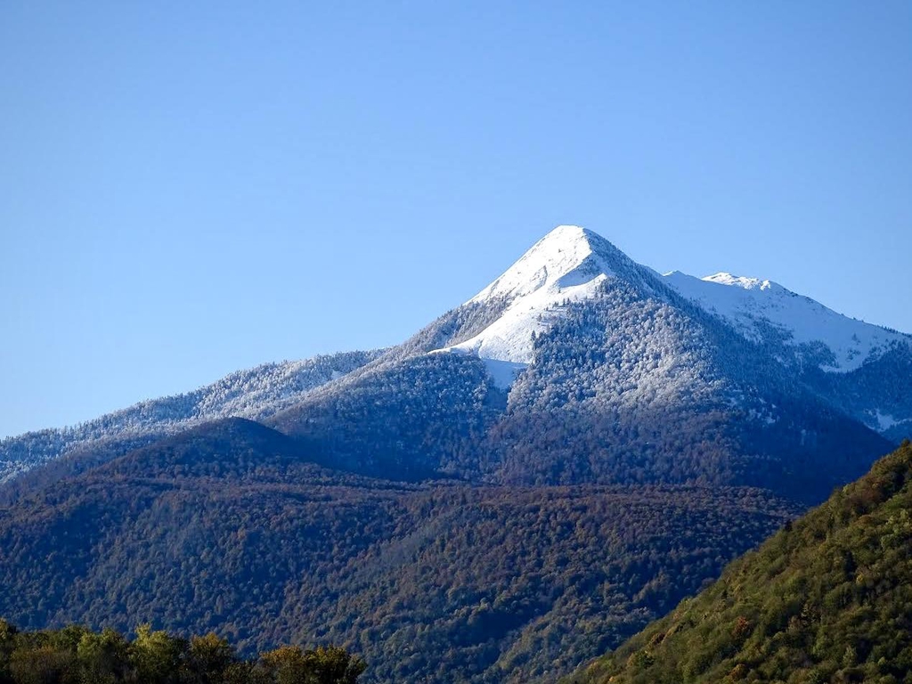 banner_image