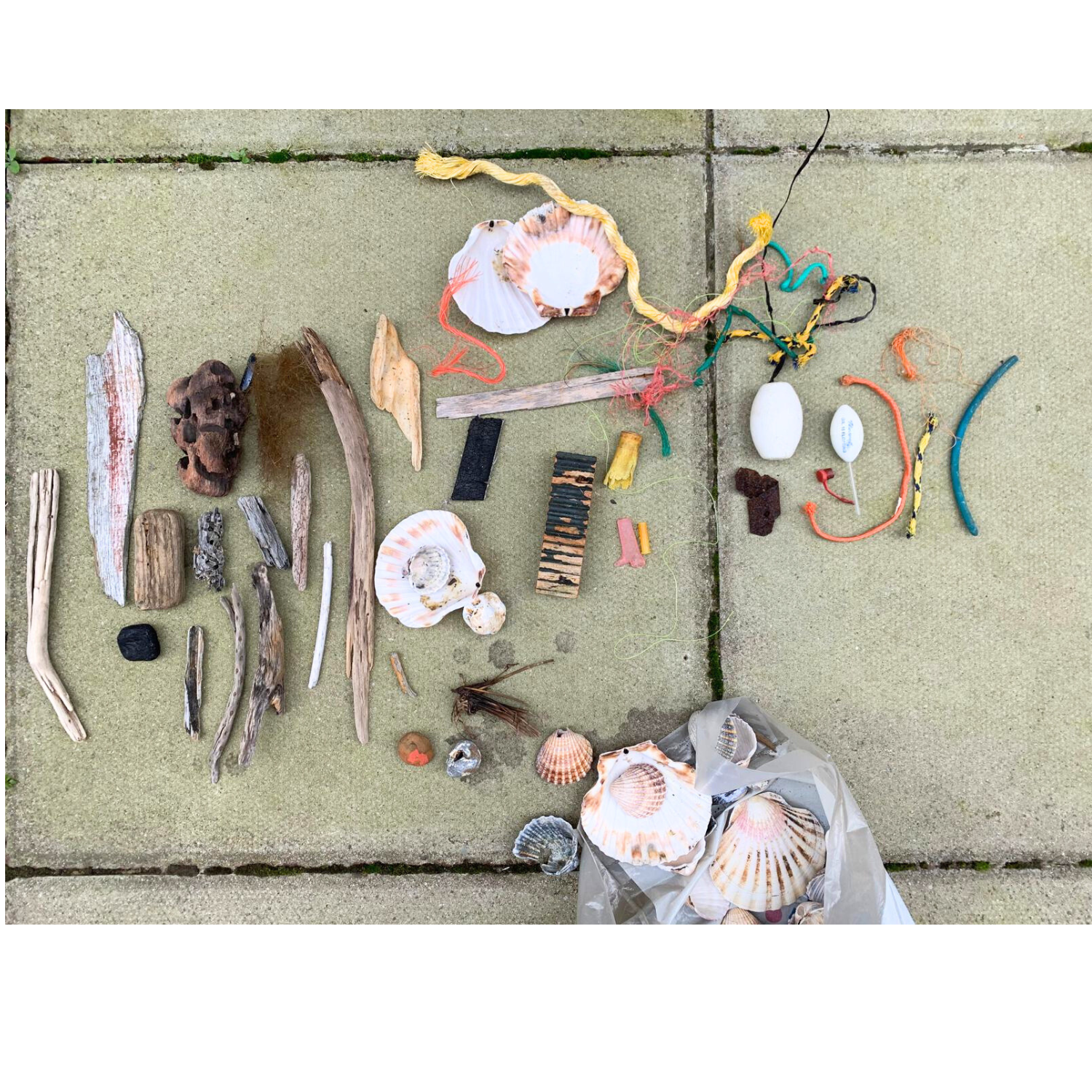 Jane Wood - Sculpture and assemblage - Commissions - Beach combing
