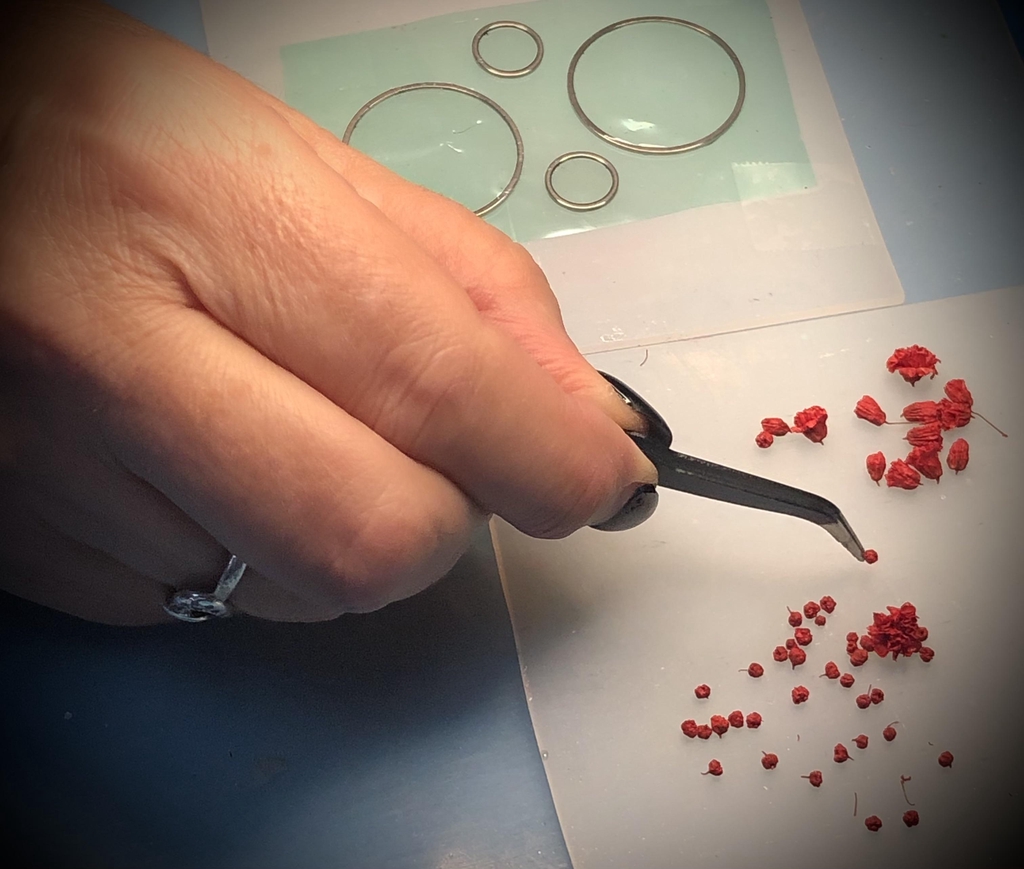 La newsletter des Crézys