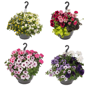 product_list_image_cover