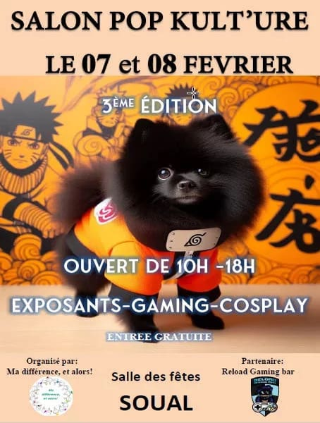 Salon pop kulture le 7 et 8 février à la salle des fêtes de soual