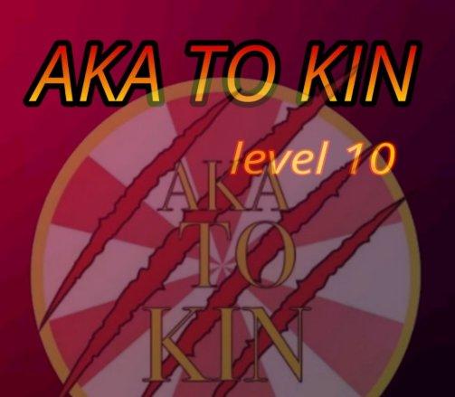 Convention Aka To Kin le 28/02 et 01/03 à Villeneuve de la raho