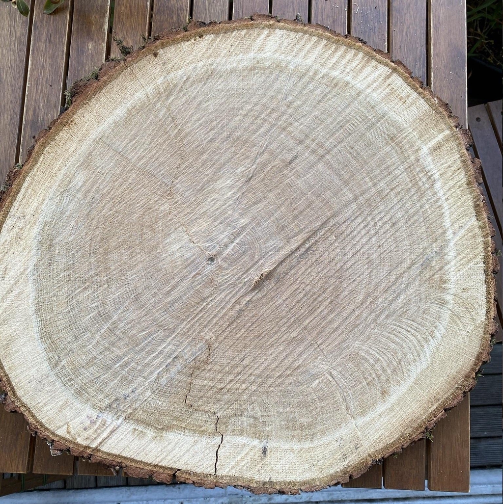 ranche transversale d'un tronc de chêne laissant apparaître les cernes de croissance réguliers, gage de la densité et de la qualité du bois utilisé pour nos créations.