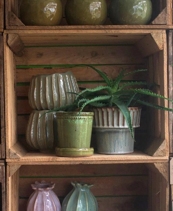 Indoor Pots & Ceramics